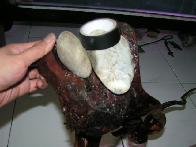圖檔