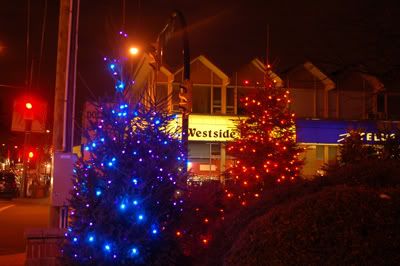 Christmas Lights on West Boulevard