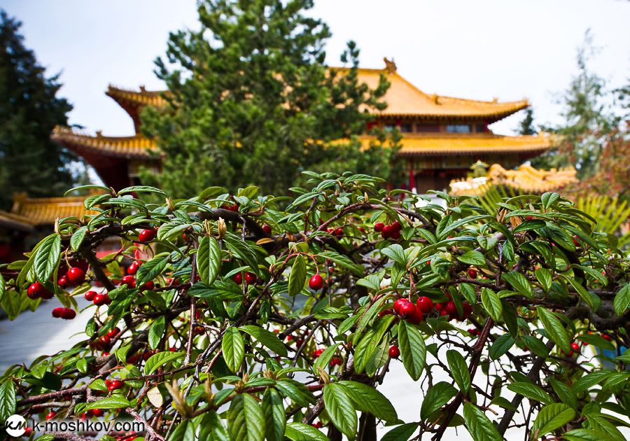 ��ддий�кий ��ам,Buddhist temple,British Columbia,Richmond,Canada