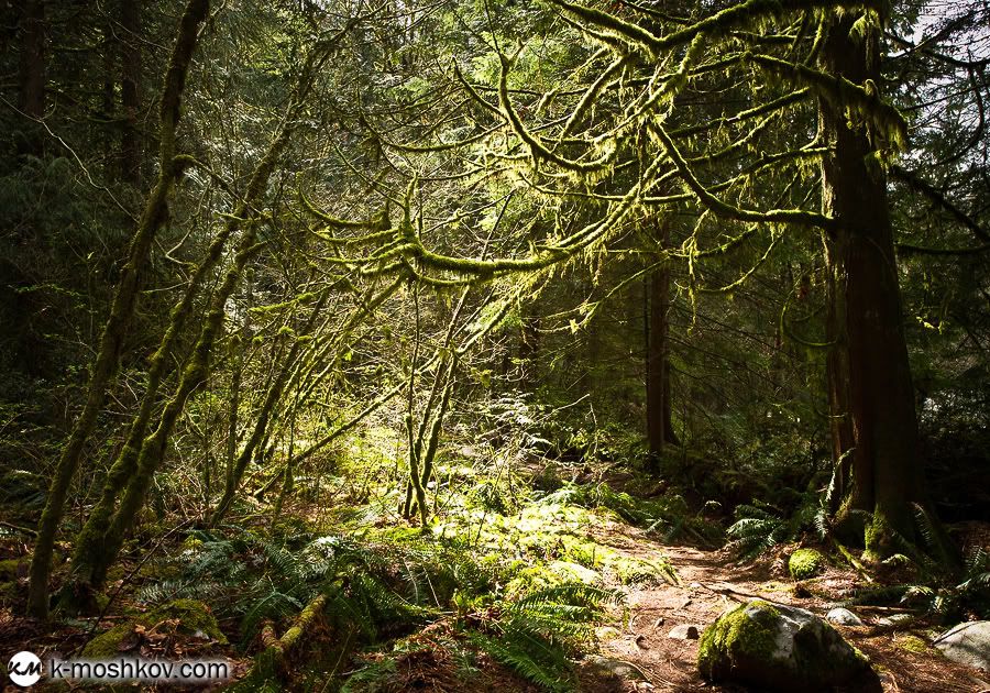 Там, на неведомых дорожках... Канадские зарисовки, ч.4 Vancouver,Richmond,Canada,Lynn Canyon,Capilano,Cypress Mountain Viewpoint