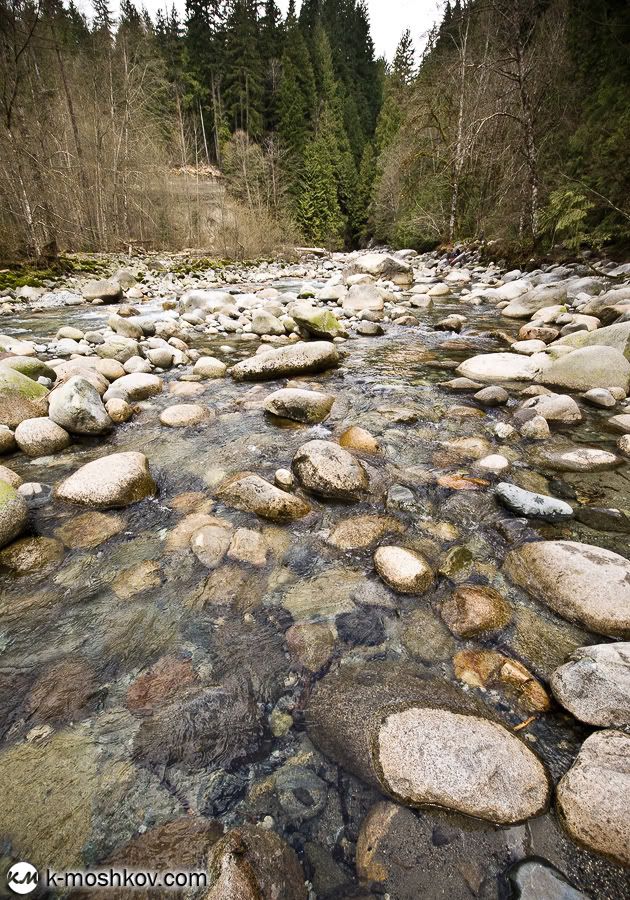 Там, на неведомых дорожках... Канадские зарисовки, ч.4 Vancouver,Richmond,Canada,Lynn Canyon,Capilano,Cypress Mountain Viewpoint