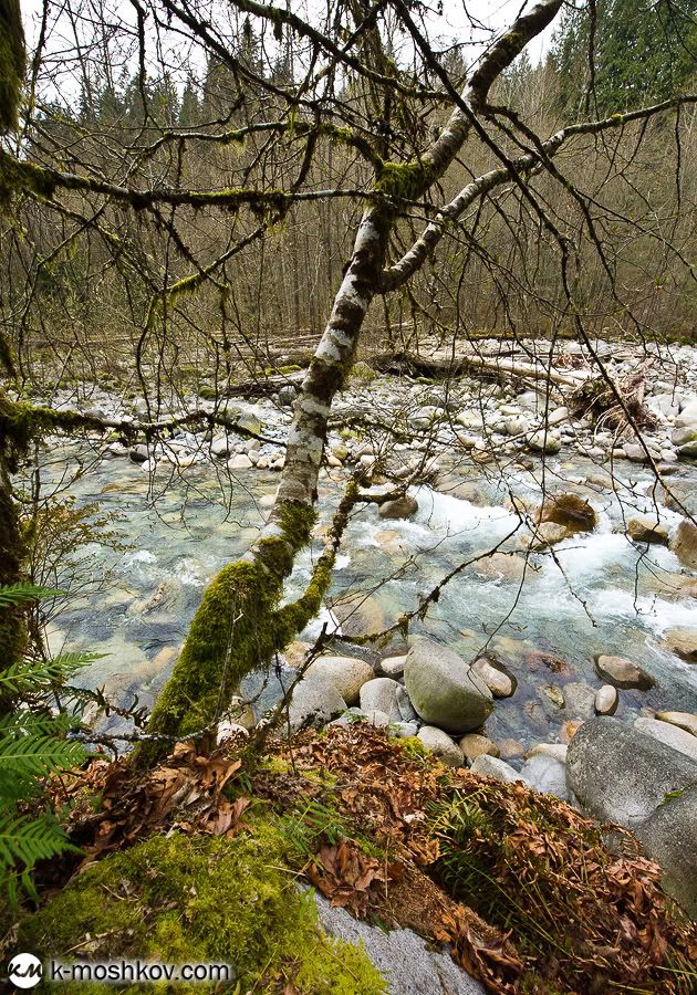 Там, на неведомых дорожках... Канадские зарисовки, ч.4 Vancouver,Richmond,Canada,Lynn Canyon,Capilano,Cypress Mountain Viewpoint