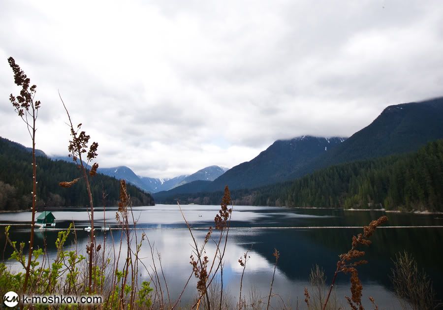 Там, на неведомых дорожках... Канадские зарисовки, ч.4 Vancouver,Richmond,Canada,Lynn Canyon,Capilano,Cypress Mountain Viewpoint