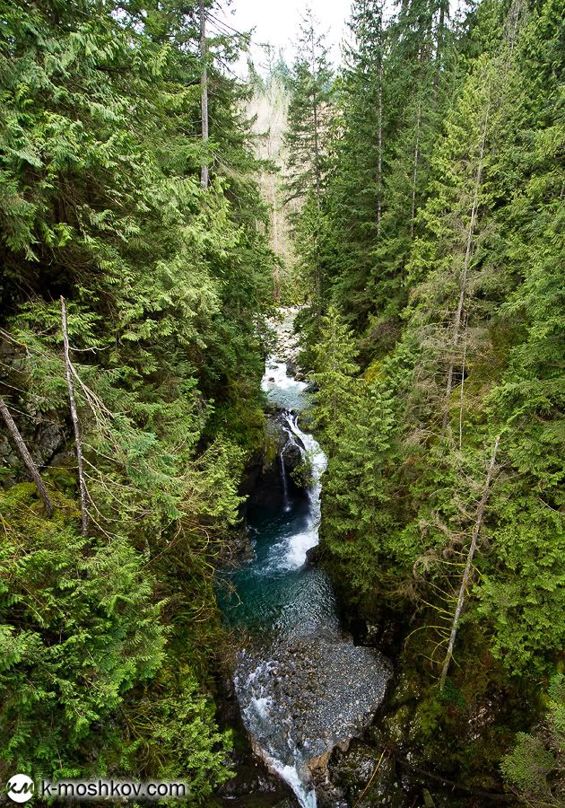 Там, на неведомых дорожках... Канадские зарисовки, ч.4 Vancouver,Richmond,Canada,Lynn Canyon,Capilano,Cypress Mountain Viewpoint