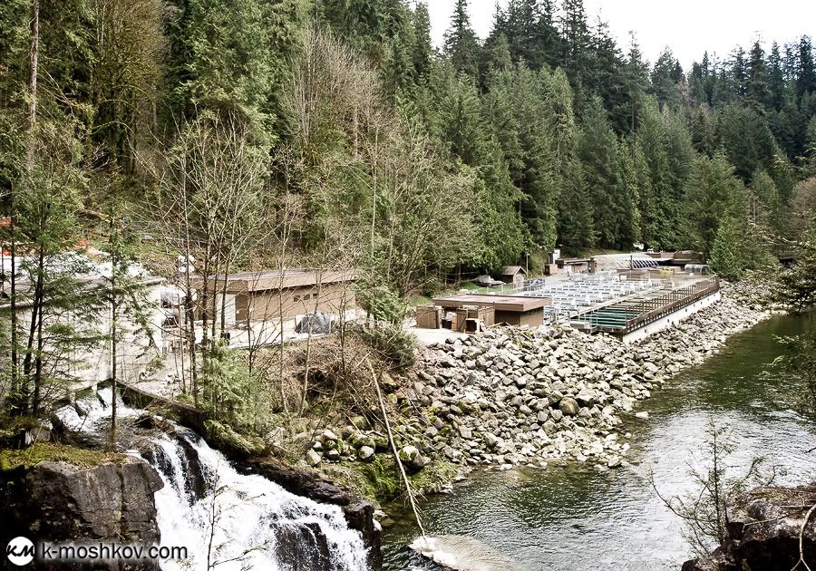 Там, на неведомых дорожках... Канадские зарисовки, ч.4 Vancouver,Richmond,Canada,Lynn Canyon,Capilano,Cypress Mountain Viewpoint