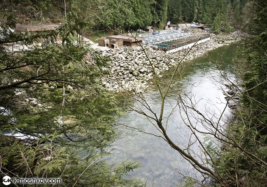 Там, на неведомых дорожках... Канадские зарисовки, ч.4 Vancouver,Richmond,Canada,Lynn Canyon,Capilano,Cypress Mountain Viewpoint