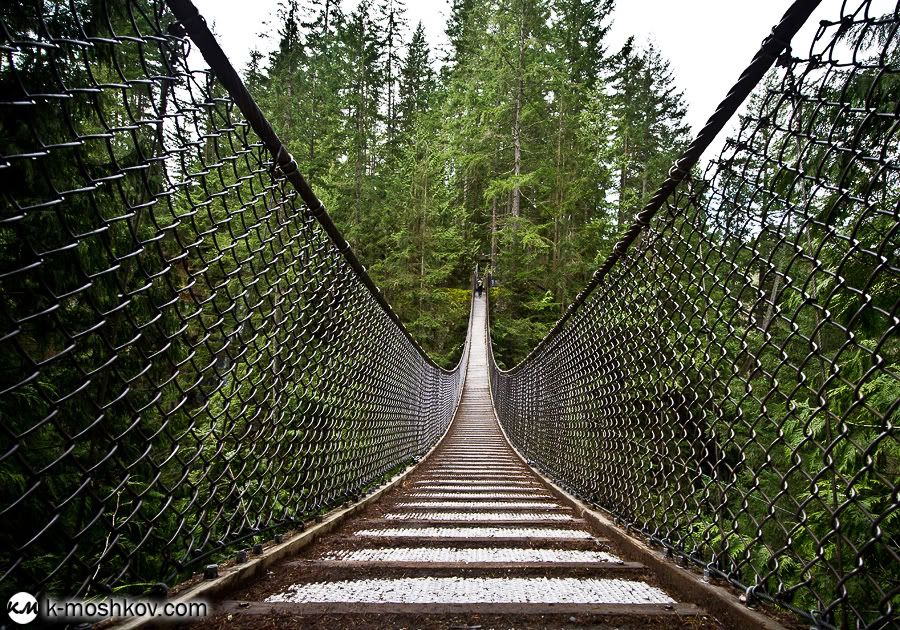 Там, на неведомых дорожках... Канадские зарисовки, ч.4 Vancouver,Richmond,Canada,Lynn Canyon,Capilano,Cypress Mountain Viewpoint