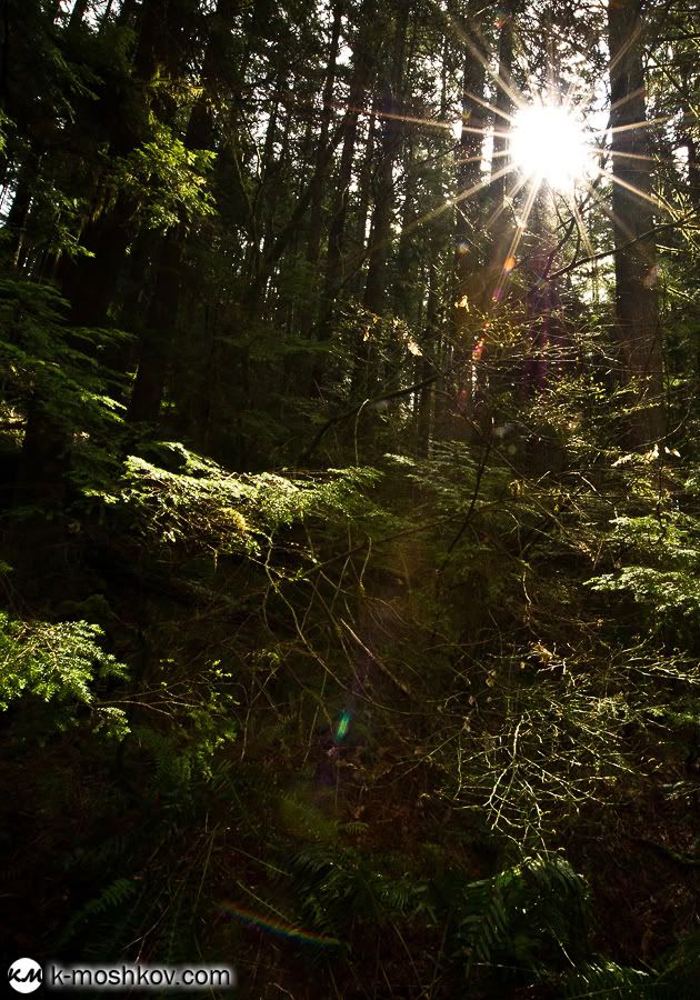 Там, на неведомых дорожках... Канадские зарисовки, ч.4 Vancouver,Richmond,Canada,Lynn Canyon,Capilano,Cypress Mountain Viewpoint