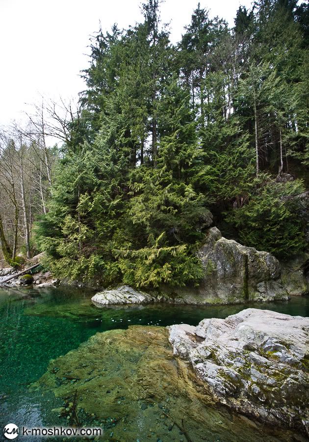 Там, на неведомых дорожках... Канадские зарисовки, ч.4 Vancouver,Richmond,Canada,Lynn Canyon,Capilano,Cypress Mountain Viewpoint