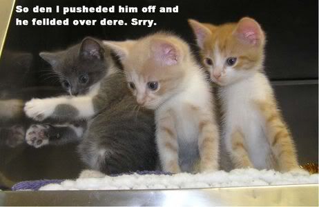 Pictures  that make you LOL (IMG INTENSIVE)