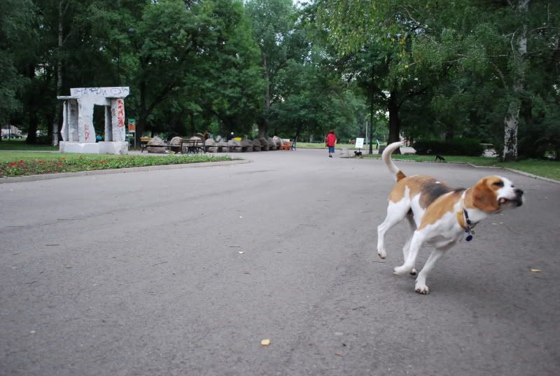 Качена снимка