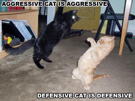 aggressive_defensive.jpg