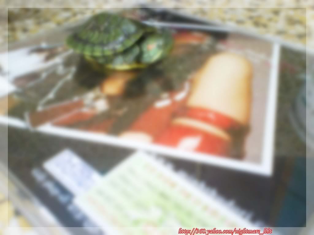 Photo Sharing and Video Hosting at Photobucket