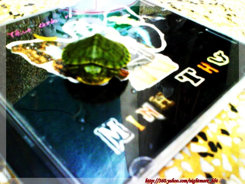 Photo Sharing and Video Hosting at Photobucket