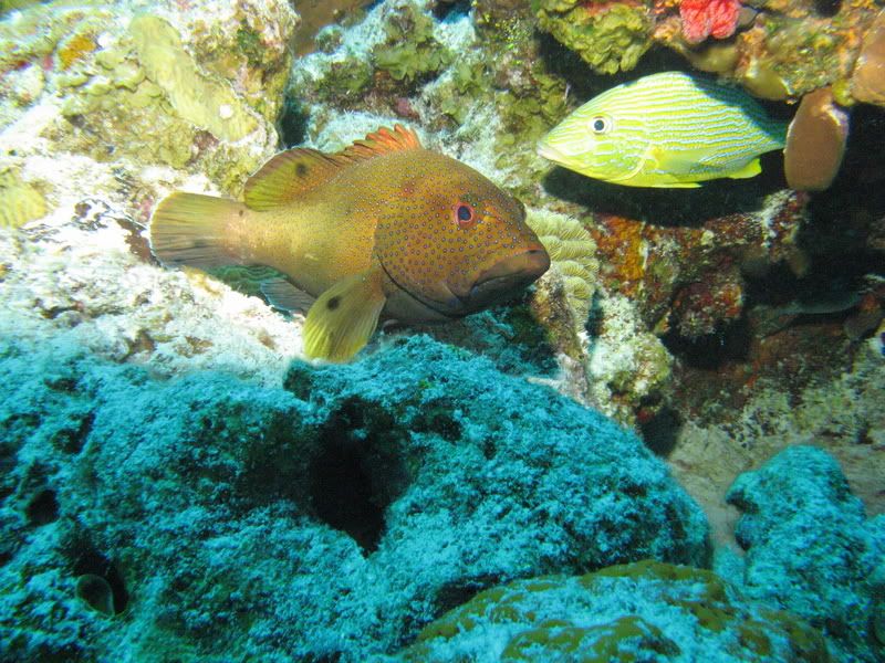 IMG_1002.jpg