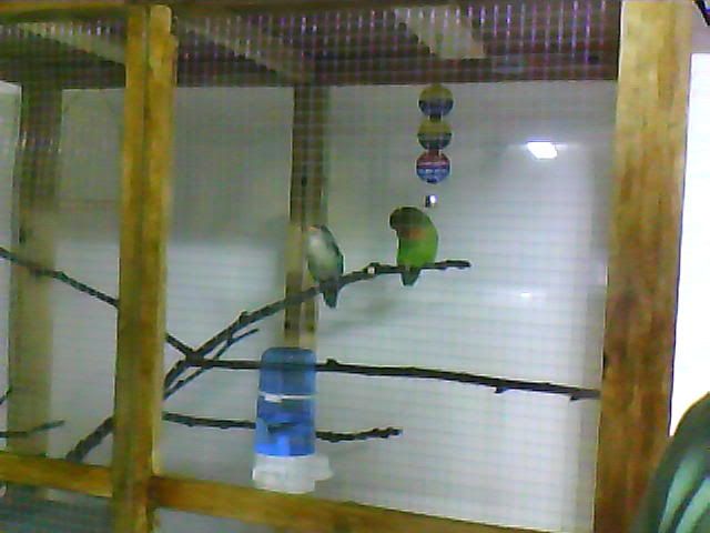 Imagem