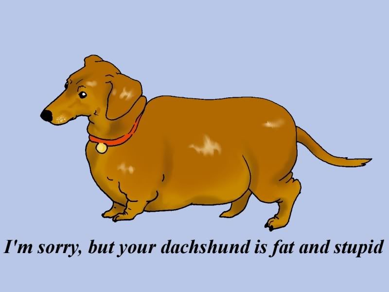 Fat Stupid Dachshund Photo by theoneandonlycloe Photobucket