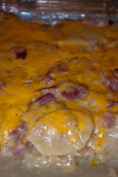 Potato Ham Cassorole