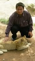 Bersama Singa