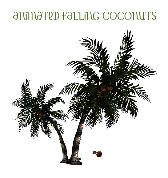  photo ANIMATED FALLING COCONUTS_zpscnnwtpt0.jpg