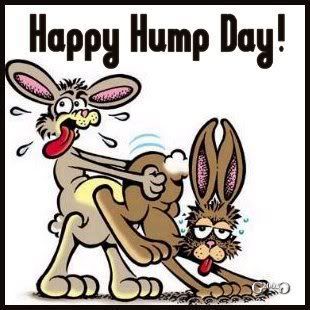 Happy Hump Day! Pictures, Images and Photos