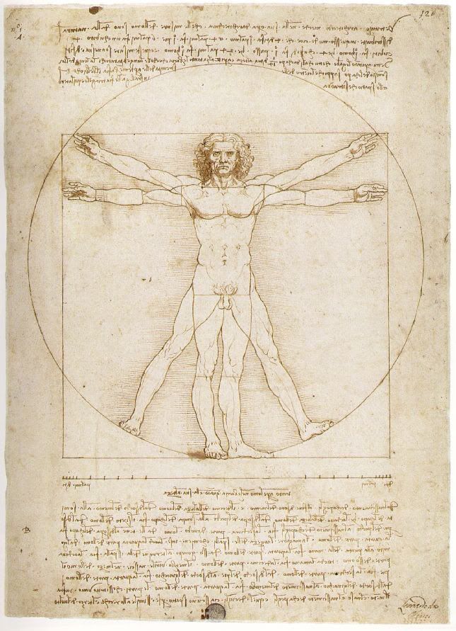 3Leonardo-Da-Vinci-Vitruvian-Man.jpg Leonardo image by juliuskronberg