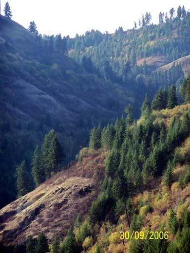 BigCanyon3.jpg