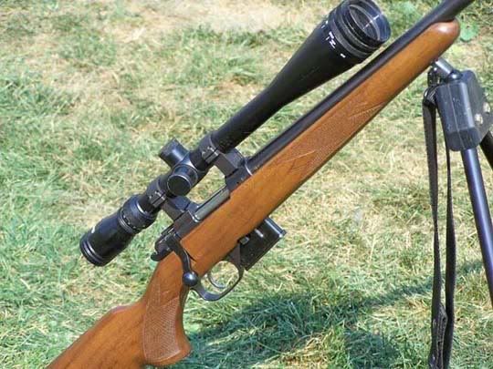 CZ527-204-5.jpg