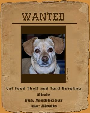 MindyWanted_Poster.jpg