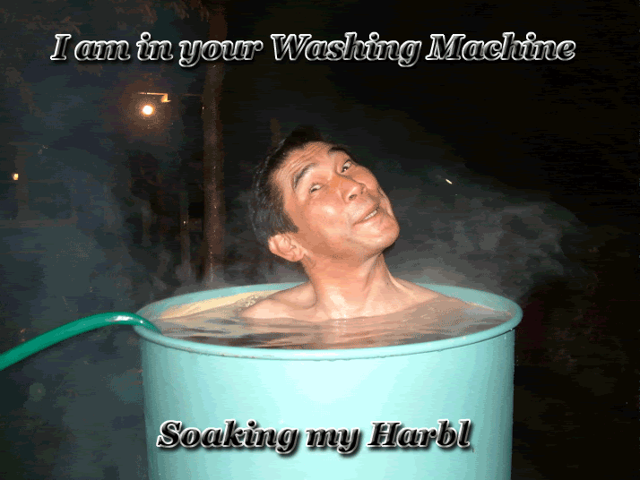 asianinawashingmachine.gif
