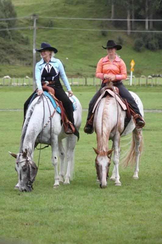 Appaloosa Horses