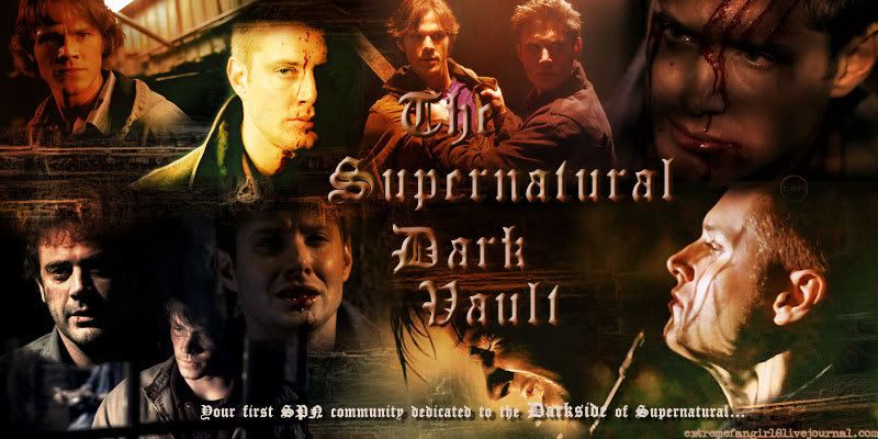 SPN Dark Vault Banner II