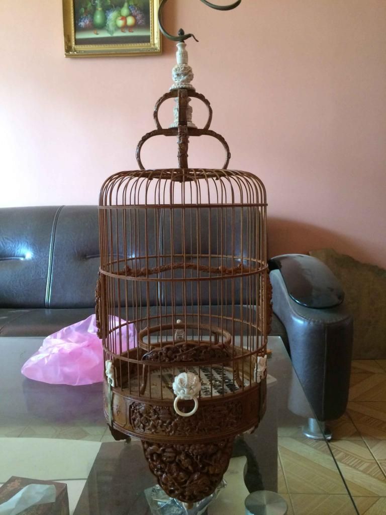 Lồng khuyên đẹp, phụ kiện khuyên, lồng cu gáy đẹp, lồng đa đa đẹp