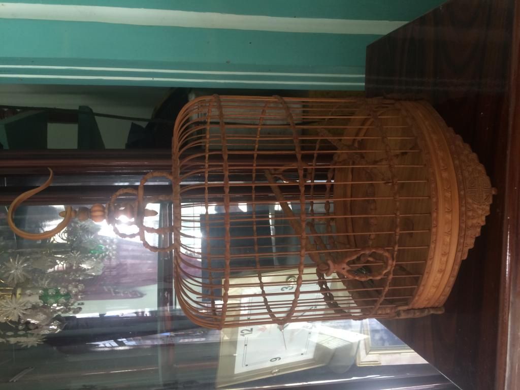 Lồng khuyên đẹp, phụ kiện khuyên, lồng cu gáy đẹp, lồng đa đa đẹp - 6