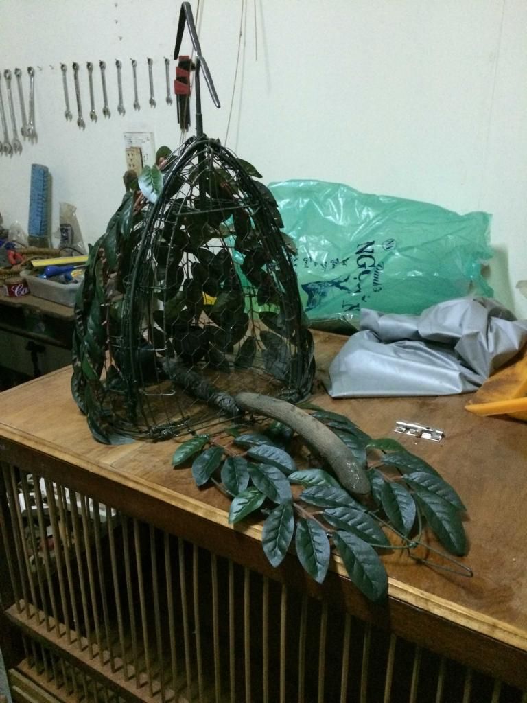 Lồng khuyên đẹp, phụ kiện khuyên, lồng cu gáy đẹp, lồng đa đa đẹp - 10