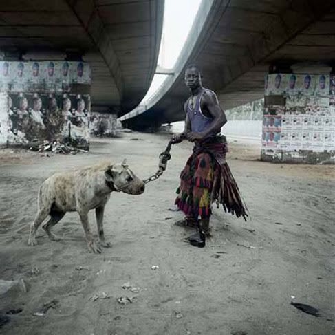 Pet Hyena