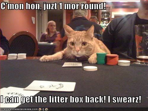 PokerCat.jpg