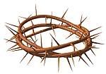 Crown of Thorns