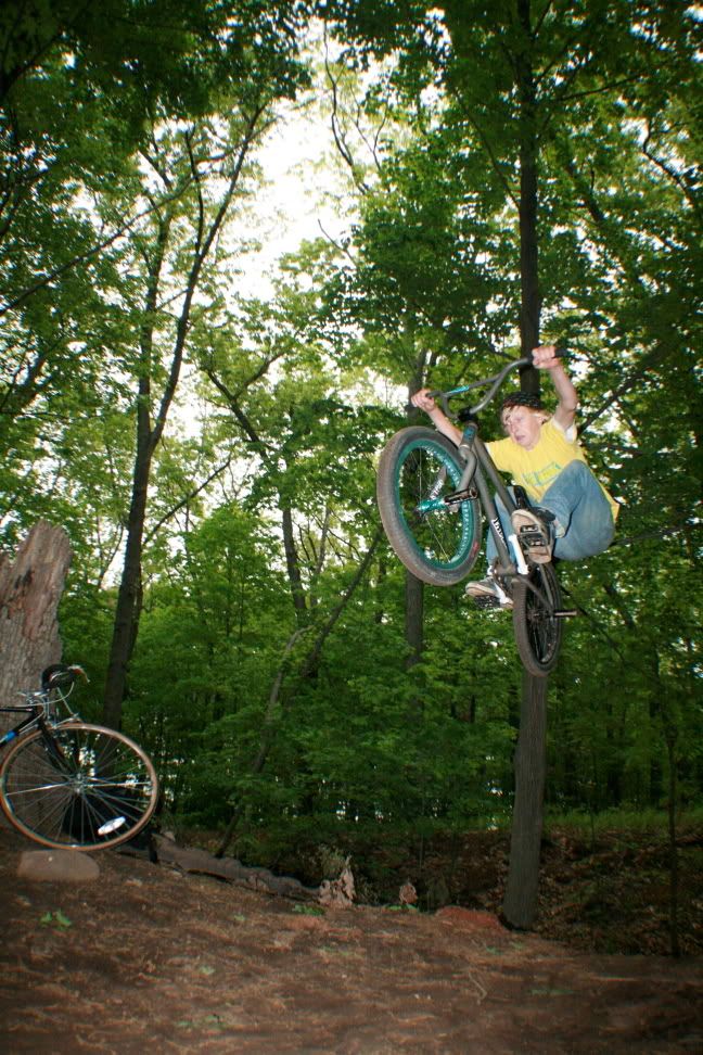 IMAGE: http://i136.photobucket.com/albums/q181/sharrington8592/IMG_0524.jpg