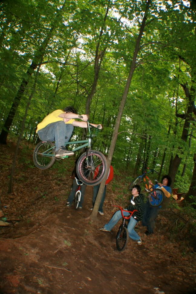 IMAGE: http://i136.photobucket.com/albums/q181/sharrington8592/IMG_0556.jpg