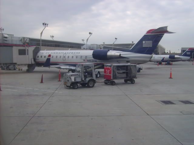 PICT0310.jpg