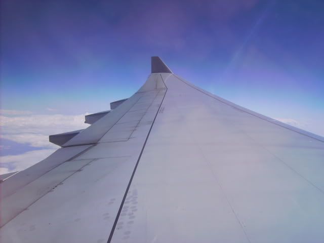 PICT0318.jpg