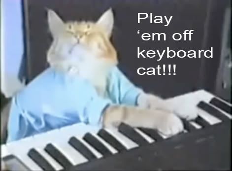 keyboardcat.jpg