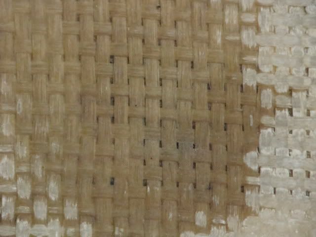 DSC01613.jpg