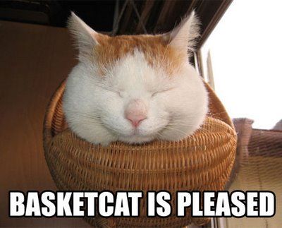 cat_basketcat.jpg