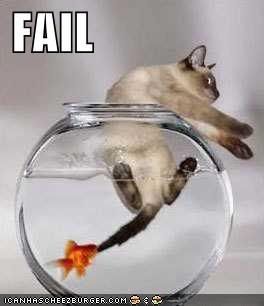 funny-picture-cat-fail1.jpg