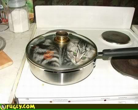 http://i136.photobucket.com/albums/q189/THowell1975/Beaver/cooking-a-cat.jpg