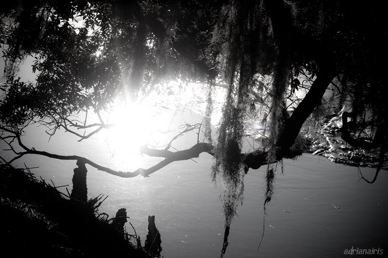 photo moonriver_zps7038c90a.jpg