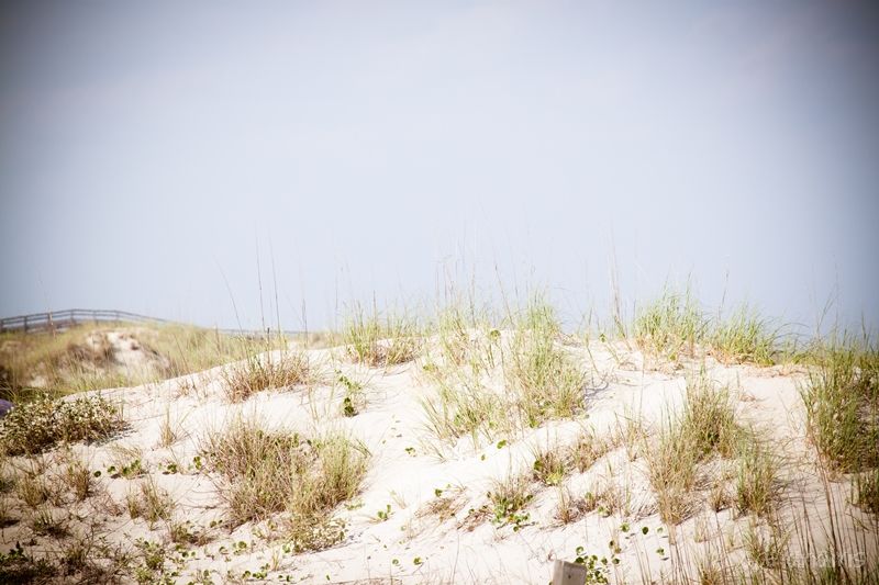 photo dunes_zps623f1b64.jpg