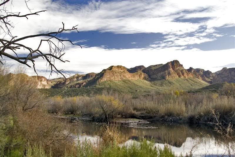 IMAGE: http://i136.photobucket.com/albums/q190/Bonishphoto/FE9A7433.jpg